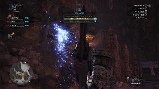 モンスターハンター：ワールド_20180825222008