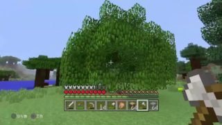 マインクラフト　パート5