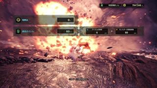 趣味はゲーム、PS4 Pro モンスターハンター：ワールド ○○日目