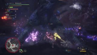 モンスターハンターワールド　アへ顔ハンター狩猟日記＃12