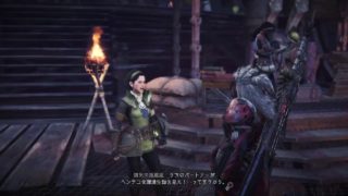 モンスターハンターワールド　まったりプレイ
