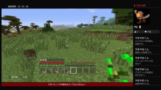 だらだらマインクラフト生放送