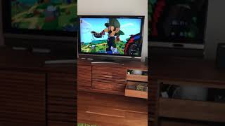 マインクラフト初心者デス