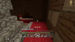 【初見歓迎】PS4 マインクラフト　Mob巨大化建築　材料集め1