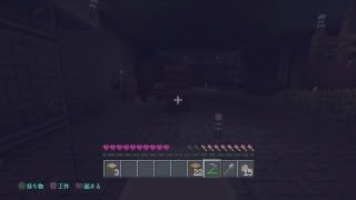［マインクラフト雑談生放送］ラノベ作家はネザーかエンドに行くのか？