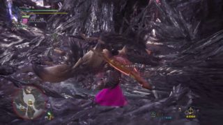 モンスターハンター：ワールド_20180826032757