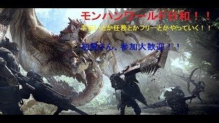 モンスターハンターワールド日和！極ベヒーモスを倒したい！ 初見・参加歓迎！