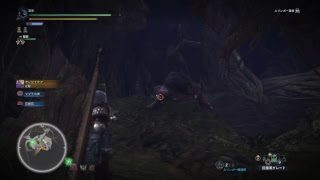 [ モンスターハンター：ワールド ] リオレイア・プケプケ・アンジャナフ