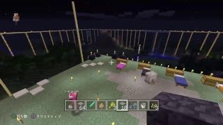 #大会【ホリホリ大会】マインクラフト【ポイント制】