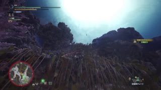 [ モンスターハンター：ワールド ] レイギエナ・パオウルムー