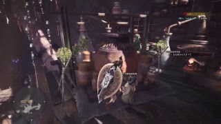 なんとなく配信＠モンスターハンター：ワールド