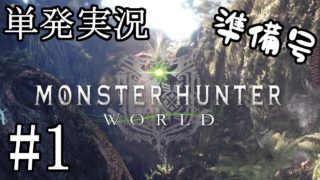 #1 【単発】モンスターハンター：ワールド準備号【ACT】