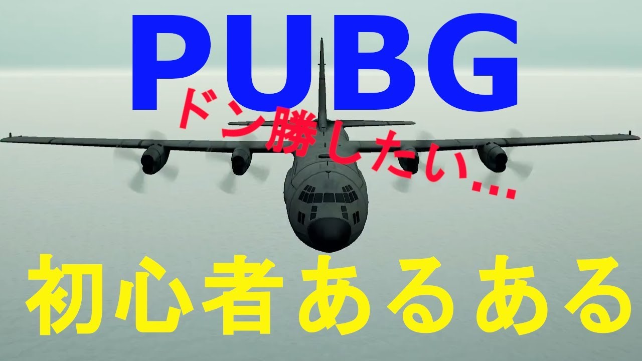 本気でドン勝狙う…初心者あるある。［PUBG］パブジー実況