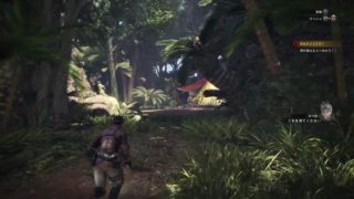 (1080p60HD)高画質！モンスターハンター：ワールド