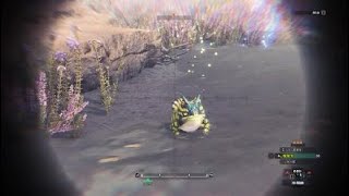 モンスターハンター：ワールド_ガエル
