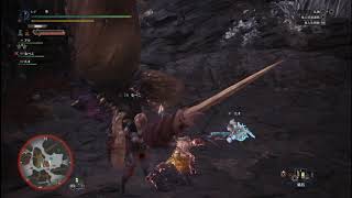 モンスターハンターワールド　ネルギガンテの討伐 2018 08 27 01 28 15 868