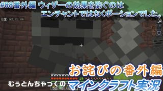 【マインクラフト】#88番外編 ウィザーの効果を防ぐのはエンチャントではなくポーションでした。 ～ むぅとんちゃっくのマインクラフト実況