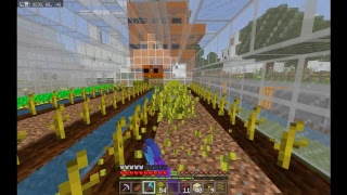 マインクラフト放送　声なし　建築、作業