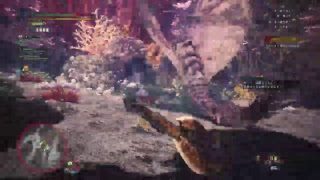 新人によるモンスターハンター