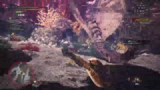 新人によるモンスターハンター