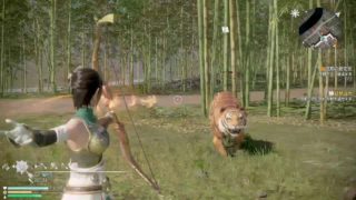 X箱でやる！真・三國無双8＃241《星彩その2》