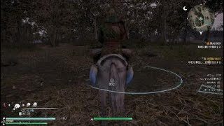 【真・三國無双８】関羽#43(難易度・究極)