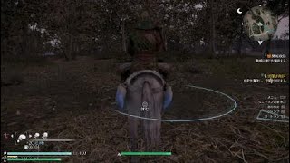 【真・三國無双８】関羽#43(難易度・究極)