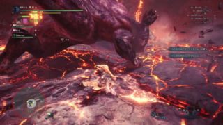 モンスターハンターワールド　極ベヒーモス　最後の回線切りで皆クリア!?