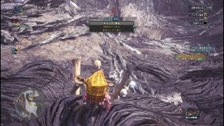 モンスターハンター：ワールド_20180821095636