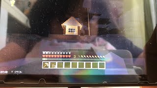 マインクラフト。#2 動物探し