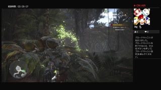 【MHW】声無し配信　初心者…？ハンターの生活日記♪　♯1　モンスターハンターワールド