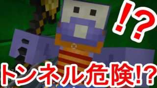 【マイクラ】マリオのネザーで大事件！？【マインクラフトスーパーマリオ】