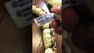 【Twitterで話題】音量MAX推奨 荒野行動 PUBG Tik Tok マインクラフト ドラえもん クレヨンしんちゃん