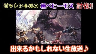 【MHW】ゼットン小林の極ベヒーモス討伐出来るかもしれない生放送♪（モンスターハンターワールド）