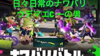 【スプラトゥーン2】日々日常のナワバリ