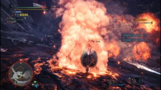 モンスターハンターワールド　伝説の魔獣 2018 08 26 01 16 03 238