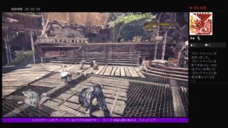 ゲーム画面垂れ流し生放送！「MONSTER HUNTER WORLD（モンスターハンターワールド）」