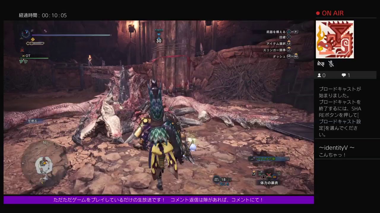 ゲーム画面垂れ流し生放送！「MONSTER HUNTER WORLD（モンスターハンターワールド）」