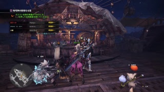 ［かつて特攻隊長と呼ばれた女］MHWモンスターハンターワールド　鑑定武器集め！！