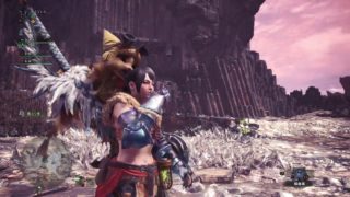 ブランク明けに初見バゼルギウスに挑む。『モンスターハンターワールド』