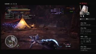 モンスターハンターワールド 超初心者が極ベヒーモスやってみます。