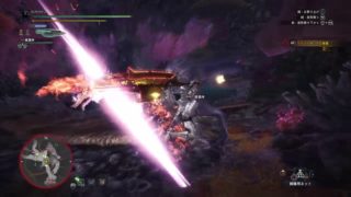 モンスターハンター：ワールド_20180831133421ツィツィ