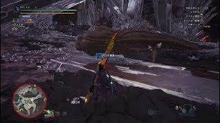 モンスターハンター：ワールド_20180924101511