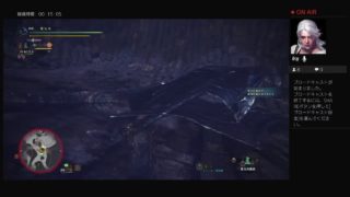 モンスターハンターワールド　ソロ　歴戦王クシャルダオラ