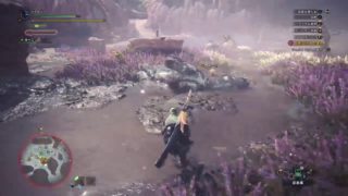 #04［PS4］ひろぽんのゲームブック［モンスターハンター：ワールド編］