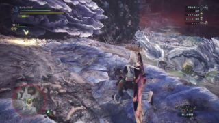 (1080p60HD)高画質！モンスターハンター：ワールド#20