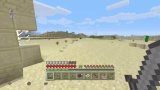 ［マインクラフト配信］Minecraft Game Play #5