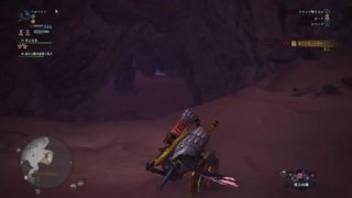 スタイリッシュぬこアクション　モンスターハンターワールド