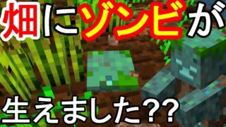 【マイクラ】ゾンビが畑に住み着く！？なぜこんなところに#5【マインクラフト】