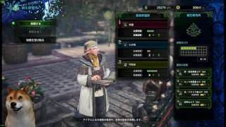 【PC版】モンスターハンターワールド MHW 歴戦とか